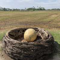 Countryside Lifestyle at Kg Agong