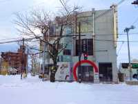 北海道　冬の道南観光！オススメ観光スポット　函館五稜郭タワー〜五稜郭公園