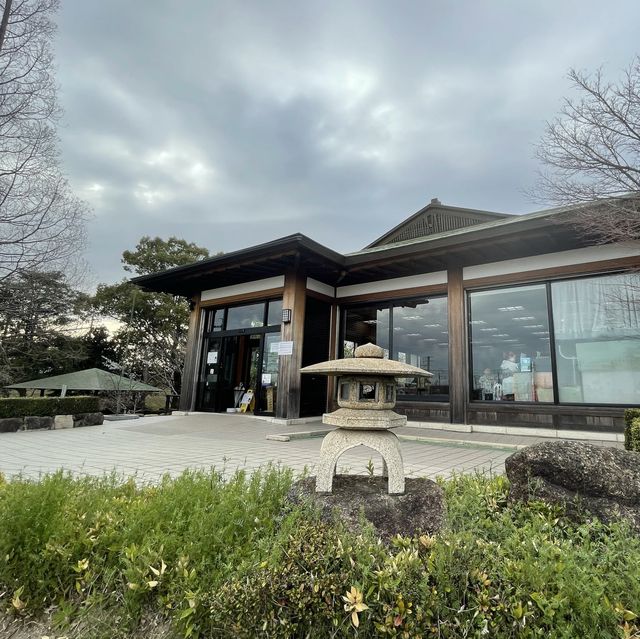 愛知県　清洲城の桜
