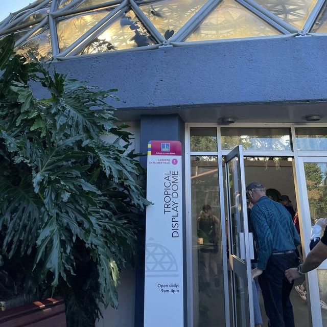 보타닉가든-마운틴쿠사 : Brisbane Botanic Gardens