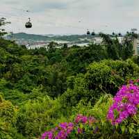 Hike to the top of Mount Faber Park