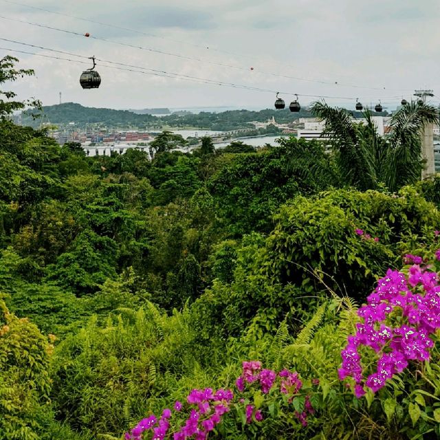 Hike to the top of Mount Faber Park
