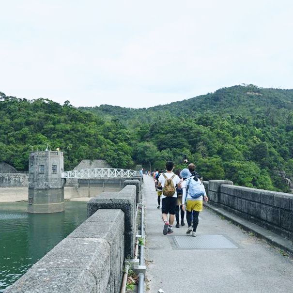挑戰「針、草、帽」行山路線！
