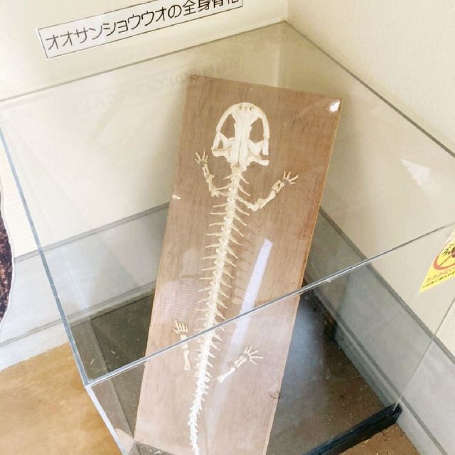 京都市動物園　京都の森