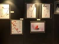 壹度攝影研究會展覽