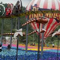 Combination of amusement park and farmland!