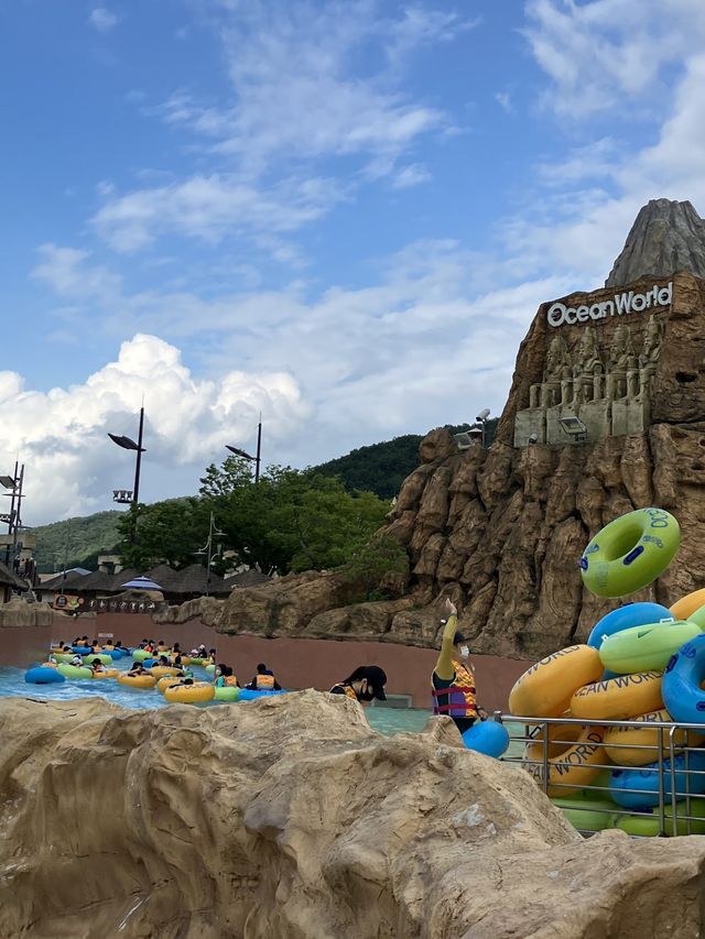 올 여름은 어디? 오션월드로 🏊🏻‍♀️🤿