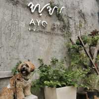 AyoAyo Cafe