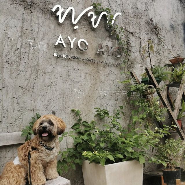 AyoAyo Cafe