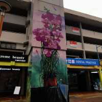 Check out SG murals at AMK and take photos 