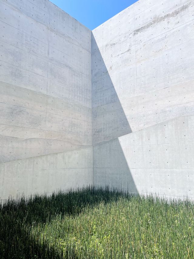 直島＊直島パヴィリオン&地中美術館