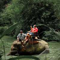 มองช้างคาเฟ่