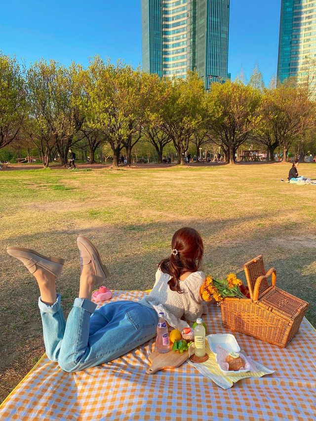 서울숲 피크닉 핫플🔥 인생샷 건졌어요!! 📸