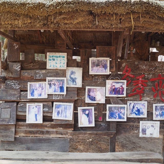 韓劇始祖冬日戀歌拍攝🎬地😍戀人浪漫景點南怡島