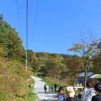 Day trip to Alpaca World