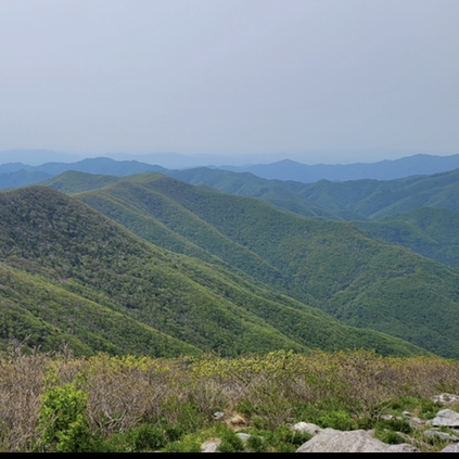 한반도의 척추_태백산맥 