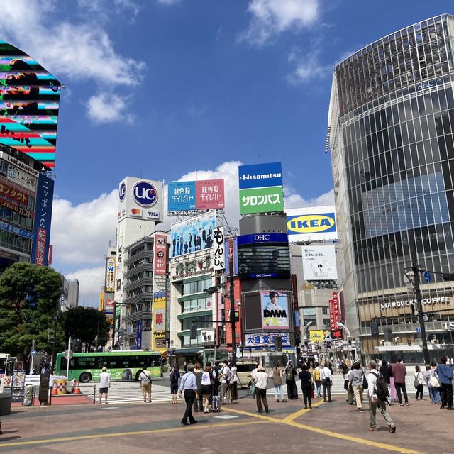 【東京旅】渋谷のカフェのスコーン