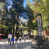 【日光】豪華絢爛な日光東照宮へ