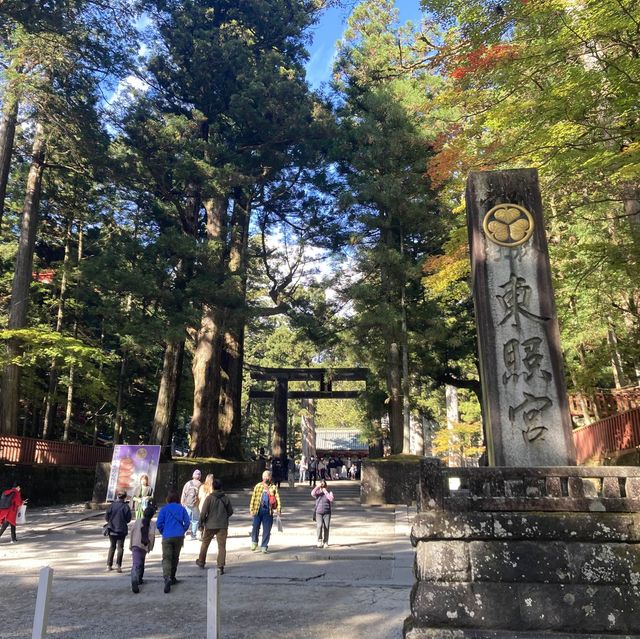 【日光】豪華絢爛な日光東照宮へ