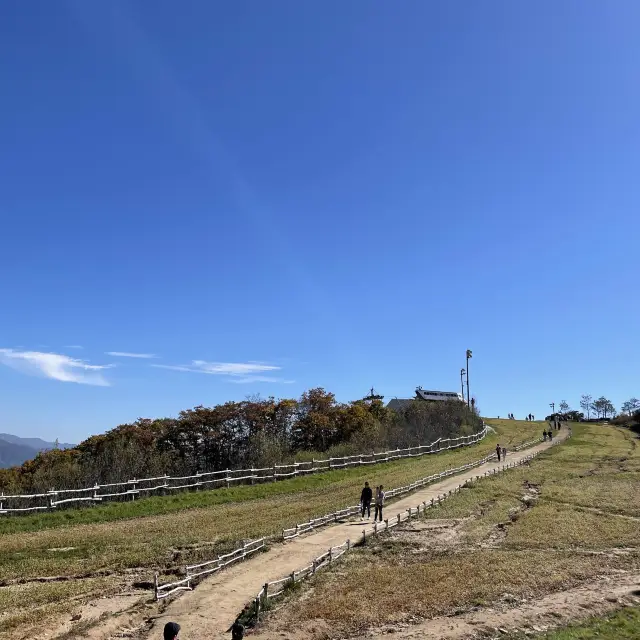 겨울에는 스키타고, 가을에는 인생샷 남기는 휘닉스 평창