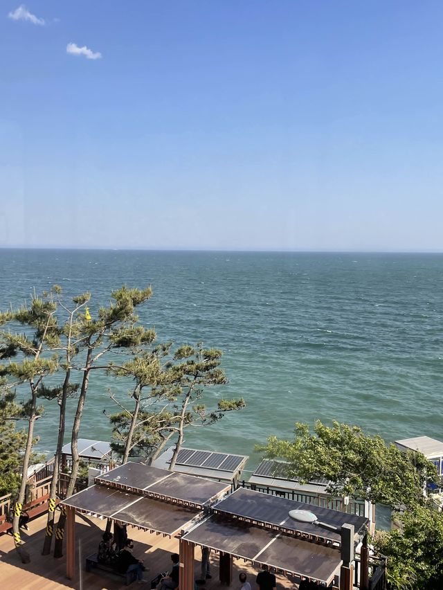 부산 해운대 바다 보러 가기 🔥그랜드 조선 부산🔥
