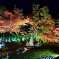 嵐山夜楓@寶嚴院