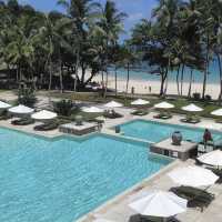Island Paradise at our Doorstep 