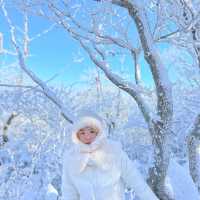 곤도라타고 쉽게 만나볼 수 있는 겨울왕국❄️