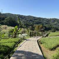 Drink and (eat!) tea in Taiwan’s mountains