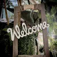 Ball Cafe' ... Natural Cafe เกาะหมาก