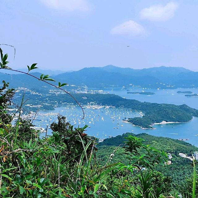 尖削如錐的鷓鴣山