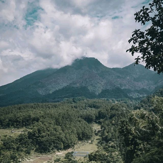 SIKABAYAN HILL - BOGOR