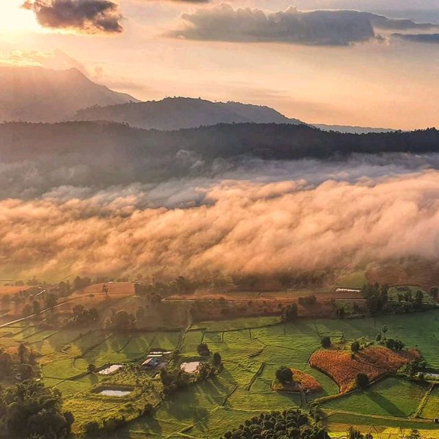 เขาโปกโล้น ทะเลหมอกงามกลางหุบเขา ⛰️