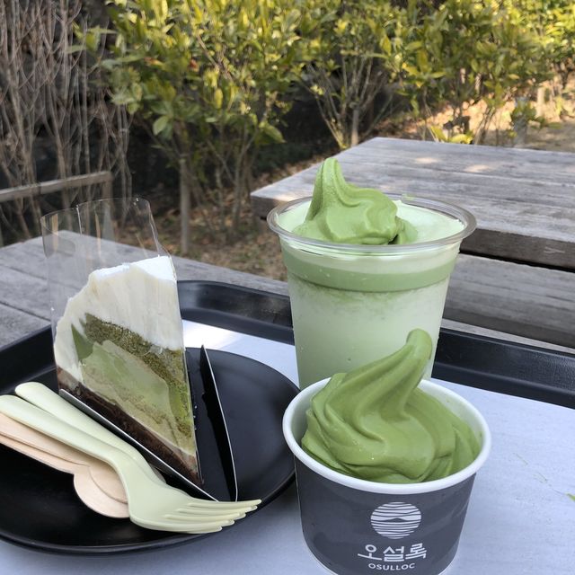 [제주도 디저트맛집🍵] 🌱오설록 티뮤지엄🌱