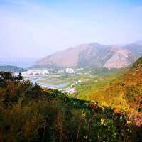 牙鷹山