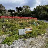 【沖縄･本島】隠れた幸せの絶景パワースポット‼️