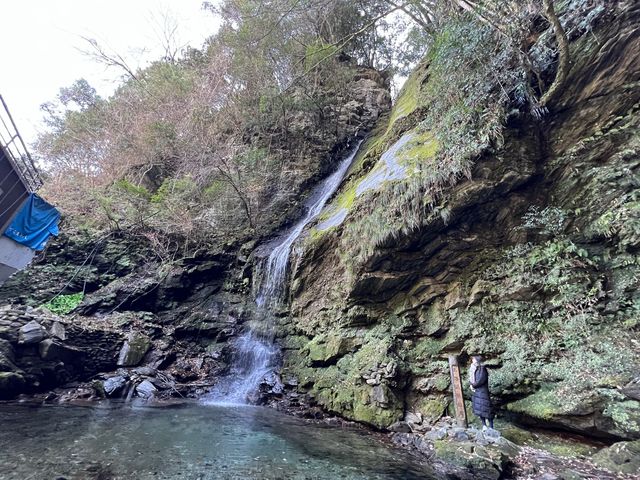 【徳島】祖谷渓谷のかずら橋
