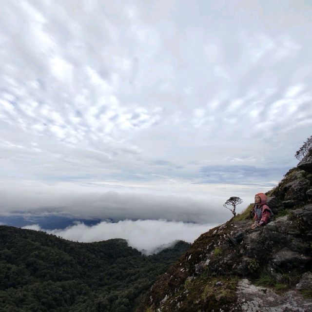 ⛰️ผาแง่ม ผาสองฤดู ขุนวาง จังหวัดเชียงใหม่⛰️