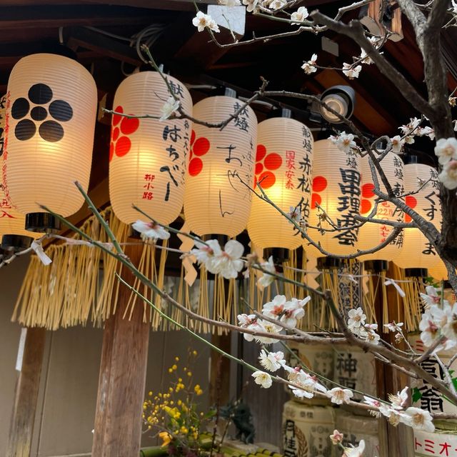【京都】錦天満宮｜梅の花が咲いていました🌸