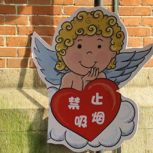 山頂的天主教堂⛪️