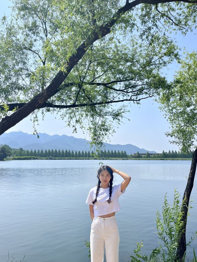 [과천] 과천에 꽁꽁 숨겨둔 아름다운 피크닉 존/풍성한 장미 꽃동산🌹