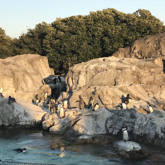 【東京】江戸川区の水族館🐠葛西臨海水族園