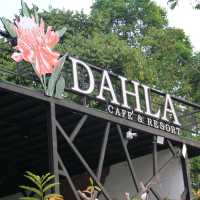 Dahla Café & Resort