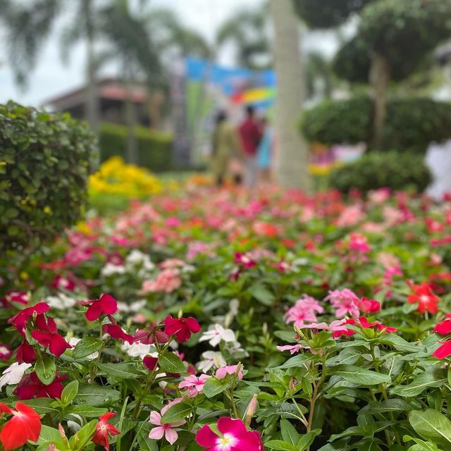 flower festival  flower festival