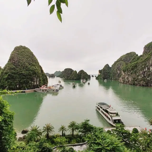 하롱베이썬셋투어