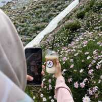 Perfect spot for ootd at Cameron Highland!