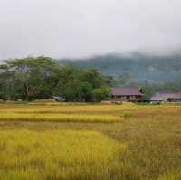 Rantepao - At the heart of Toraja rituals