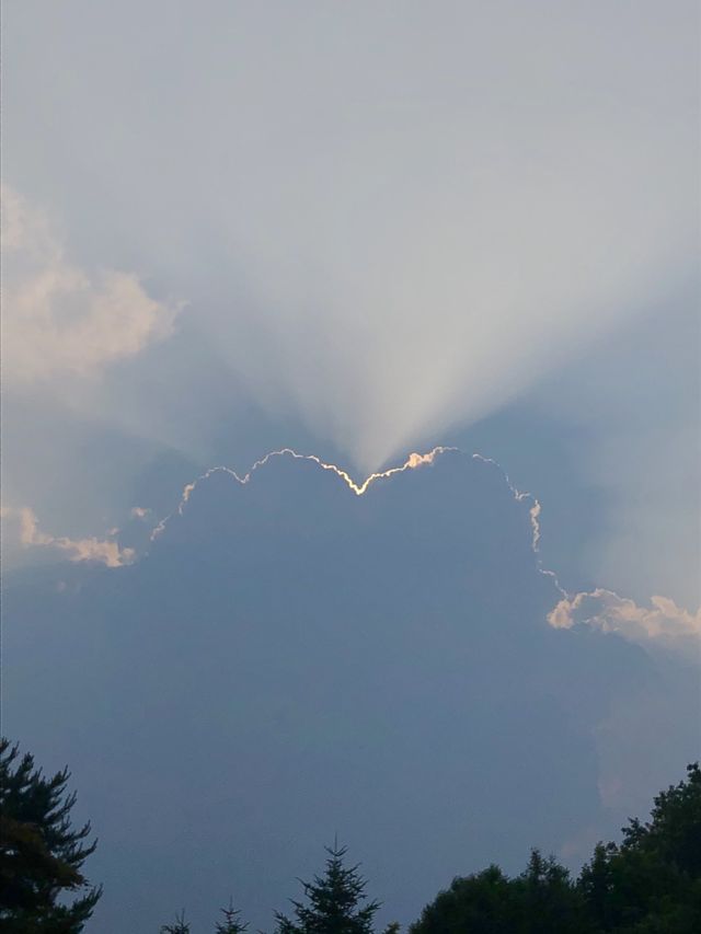 미동산수목원.  산책하기 딱 좋은 청주 외곽 여행지