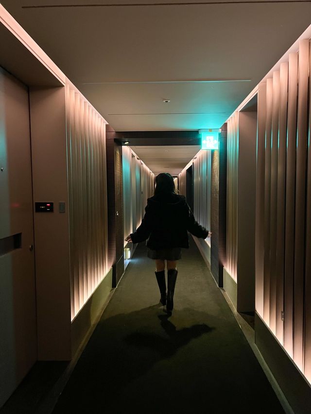 시청뷰를 한눈에 볼 수 있는 더플라자호텔🏨