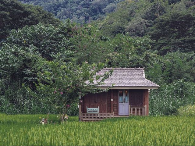 หลองข้าวสะเมิง ในวันที่ชีวิตอยากใกล้ชิดธรรมชาติ